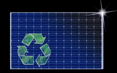 Shining Light on Solar Panels: Can They Be Recycled?